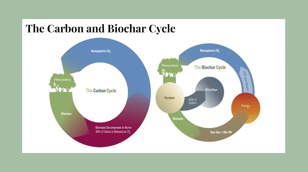 Diagram comparing the natural carbon cycle to the biochar cycle, where pyrolysis diverts half the biomass carbon into stable biochar and yields syngas or bio-oil as a 50%-less-CO2 energy stream